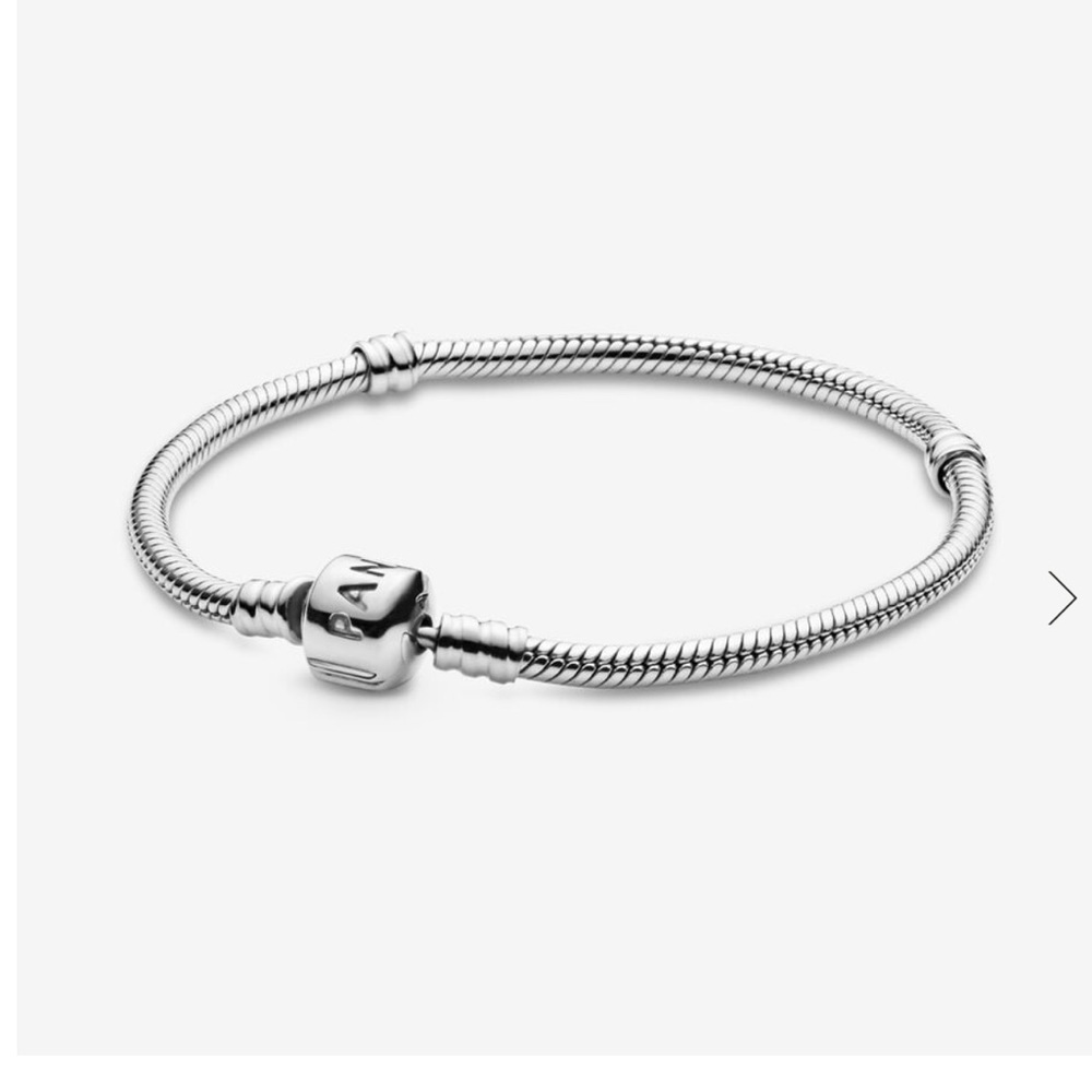 Pandora Charm Bracelet